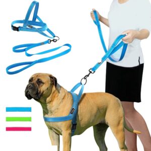 Led világítós kutyahám