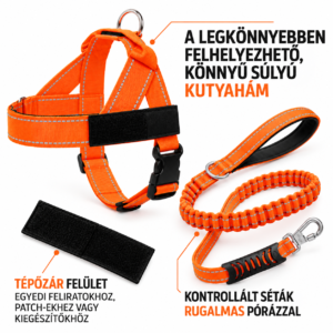 Narancssarga-kutyaham-es-rugalmas-poraz